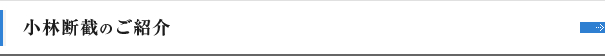 小林断截のご紹介